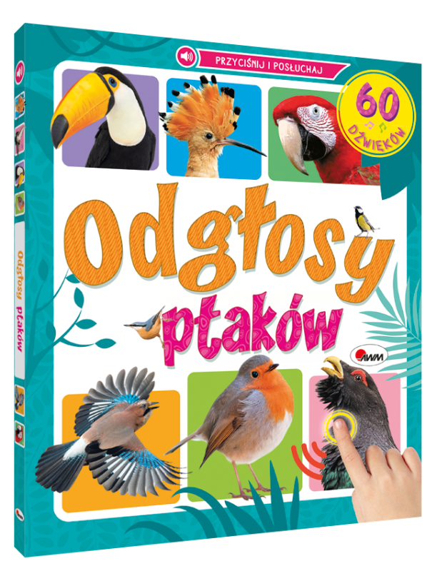 KSIĄŻECZKA ODGŁOSY PTAKÓW 60 DŹWIĘKÓW