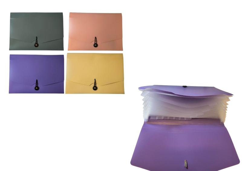 TECZKA A4 12 PRZEGRÓD PASTEL 6593