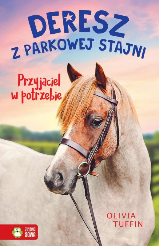 KSIĄŻECZKA DERESZ Z PARKOWEJ STAJNI. PRZYJACIEL W POTRZEBIE TOM 2
