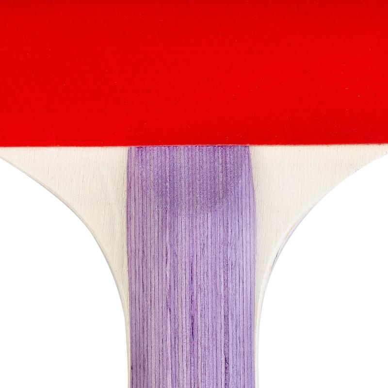 ZESTAW PING PONG. FL SMASH SET