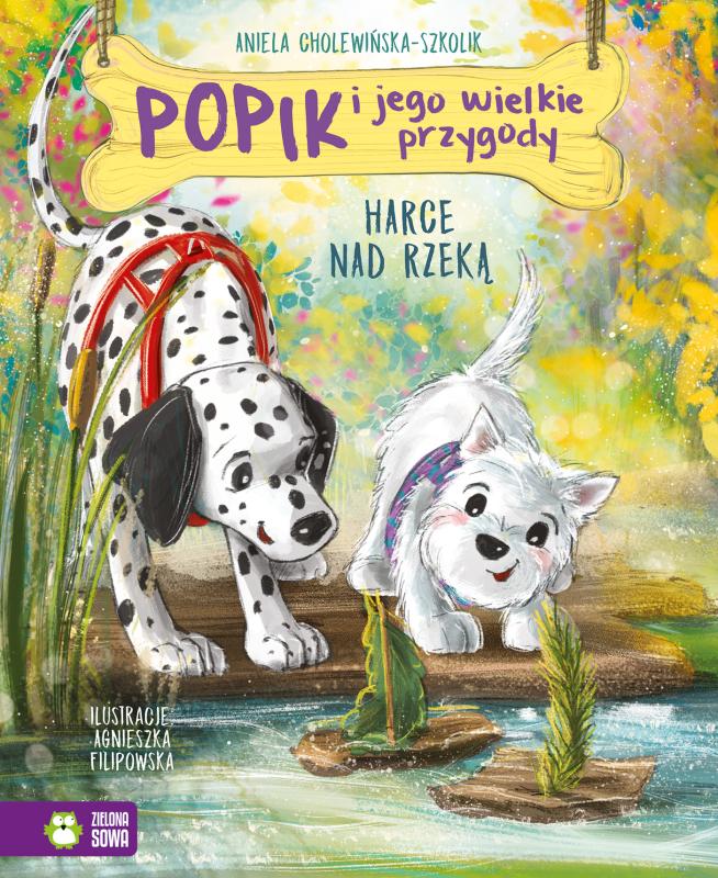KSIĄŻECZKA POPIK I JEGO WIELKIE PRZYGODY. HARCE NAD RZEKĄ BANER
